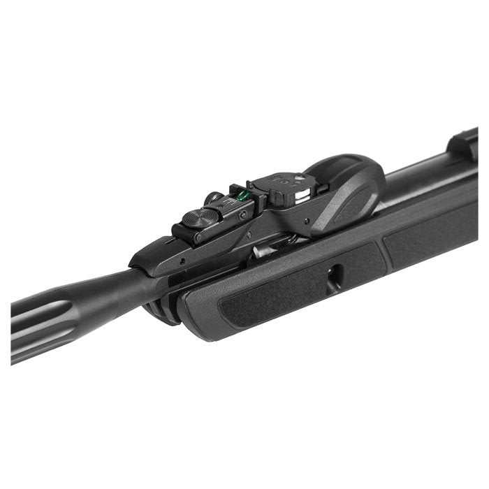 Gamo Roaster IGT 10x Gen 2 m/kikkert